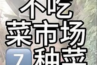 开云app最新官方入口在哪截图3